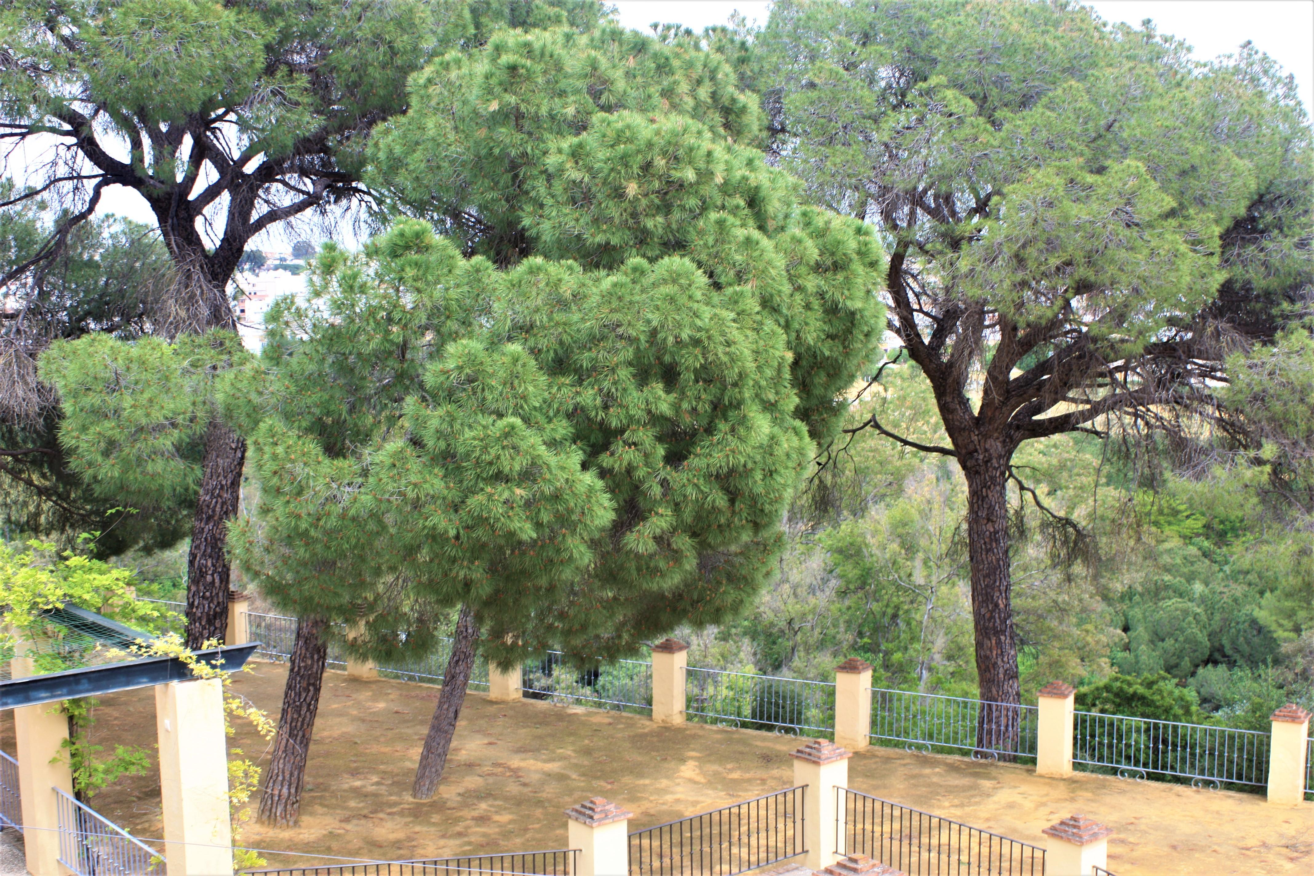 Hotel Oromana Alcala de Guadaira Luaran gambar