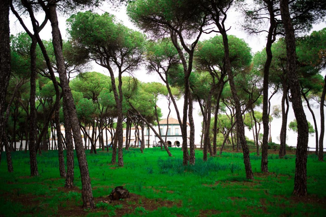 Hotel Oromana Alcala de Guadaira Luaran gambar